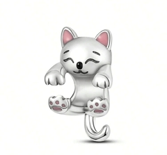 charm gato