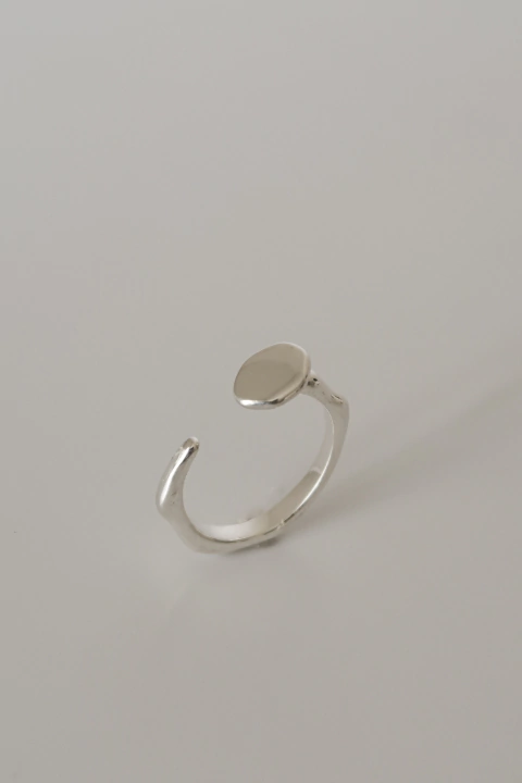 Anel Regulável Clavel Prata - comprar online