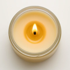 VELA AROMÁTICA HARO - BRISA TROPICAL - loja online