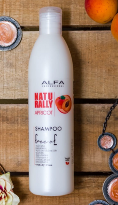 Shampoo Nutritivo - APRICOT x 350 ml - comprar online