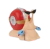 Imagen de Figuras One Piece Gashapon Den Den Mushi 8cm