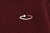 Hoodie Evolution Bordo en internet