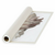 GR 001 -Gravura Concha 1 - comprar online