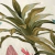 SU0039 Painel Floresta - Coleção "Brisa" - JVN Studio | Papel de Parede Personalizado 