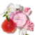 CHANCE TENDRE EDT - CHANEL - PERFUME FEMININO - Ouro Rosa - Fornecedor de Perfumes