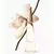 L'Eau d'Issey Eau & Magnolia Issey Miyake Eau de Toilette - Perfume Feminino - comprar online