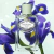 LES INFUSION D'IRIS EDP - PRADA - PERFUME FEMININO - Ouro Rosa - Fornecedor de Perfumes