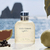 TESTER LIGHT BLUE - DOLCE GABBANA - PERFUME MASCULINO na internet