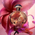 ENCOMENDA TESTER OLYMPÉA SOLAR EDP - PERFUME FEMININO - PACO RABBANE na internet