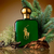 POLO GREEN - RALPH LAUREN - PERFUME MASCULINO na internet