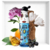 CHEAP & CHIC SO REAL EDT - PERFUME FEMININO - MOSCHINO - Ouro Rosa - Fornecedor de Perfumes