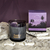 Velas de Soja - Exotic Destinations - tienda online