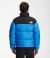 JAQUETA THE NORTH FACE 1996 RETRO na internet