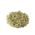 Sálvia (Sálvia officinalis) - 1 kg