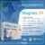 Magnez CR, 30 Cp Revestidos - Idn Labs - comprar online
