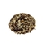 Castanha da Índia (Aesculus hippocastanum) - 1kg - comprar online