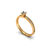 Princess - Anel de Ouro Amarelo 18k e 36 Pontos de Diamantes