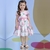 Vestido de Festa Infantil Floral Faixa Rosa Petit Cherie