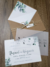PAPEL TRANSLUCENTS CLEAR na internet