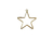 1 un. Pingente Estrela 5 pontas folh. a ouro 18k- PO012
