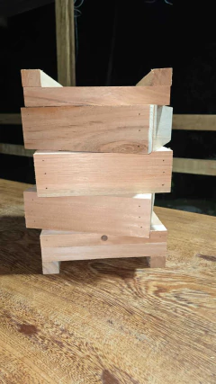 CAIXA DE ABELHA MANDAÇAIA 15x15x3 na internet