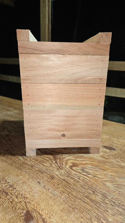 CAIXA DE ABELHA MANDAÇAIA 15x15x3