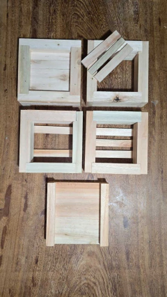 CAIXA DE ABELHA MANDAÇAIA 15x15x3 - comprar online