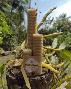 Vela de Cera Alveolada kit com 3