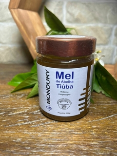 Mel de Abelha Tiuba 200g