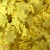 Flor Prensada Amarelo Canário (20mm) - 25 Unidades