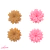 Aplique Biscuit Mini Suculenta P (2cm) - 4 Unidades - Hexa Apliques e Fitas