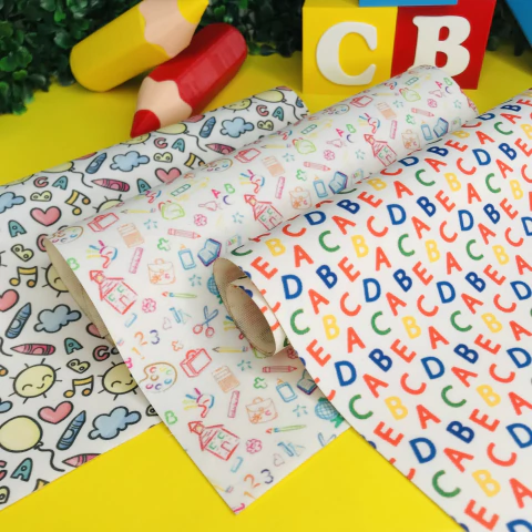 Lonita Estampada Escolar (24x39cm) - Unidade - comprar online