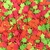 Aplique Mini Flor Prensada Neon (13mm) - 50 unidades
