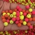 Pérola Neon Emborrachada ( 8mm ) - 20 Gramas - comprar online