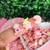 Mini Aplique Rosa Sortidos Resina- 10 Unidades com modelos e tamanhos variados na internet
