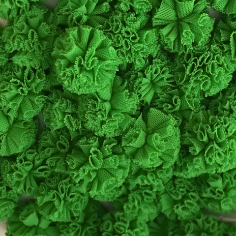Pompom de Malha Verde Escolar 2,5 - 10 Unidades