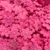 Flor Prensada Rosa Chiclete (20mm) - 25 Unidades
