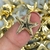 Aplique Estrela Dourada - 10 Unidades