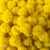 Pompom de Malha Amarelo Canário (2,5cm) - 10 Unidades