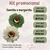KITS PROMOCIONAIS ( CAMÉLIA E MARGARIDA)