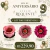 ESPECIAL DE ANIVERSÁRIO ( KIT 200 CAMELIAS, 200 MARGARIDAS E 100 BOTÕES DE ROSA DE TECIDO)