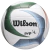 PELOTA VOLEY N5 AVP PXL NEW WHBLGR OF (A11265)