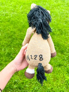 Caballito de crochet en internet