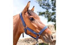 Bozal de galón - comprar online