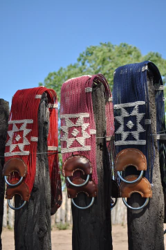 Imagen de Par de cinchas piolines