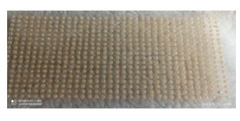 CARTELA ADESIVA Wei flor dourada 4mm ( Cartelados ) - comprar online