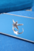 Banner de Ordinari
