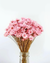 Arranjo Desidratado - Flor Sempre Viva - comprar online