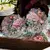 Pack Lace Feast Numbers - 30 peças