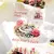 Fita Land Rose - 2 metros - Garden's Journal